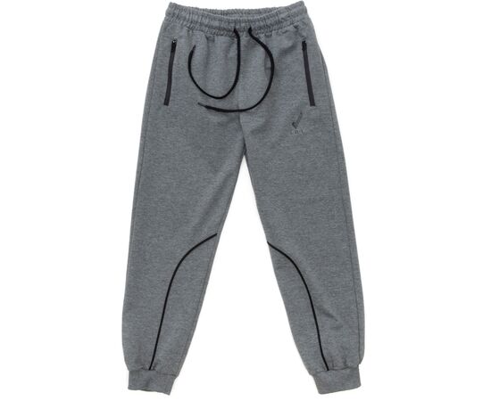 Штаны детские Joi спортивные (С-372-158B-gray)