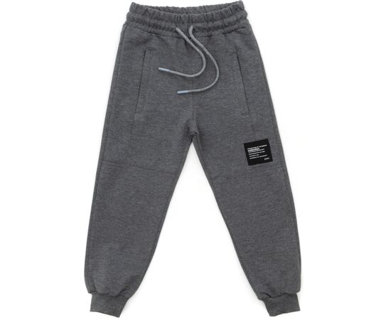 Штаны детские Joi спортивные (A-190-128B-gray)