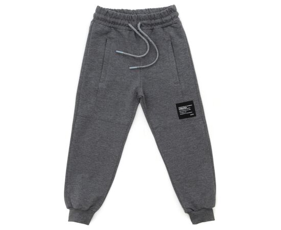 Штаны детские Joi спортивные (A-290-140B-gray)