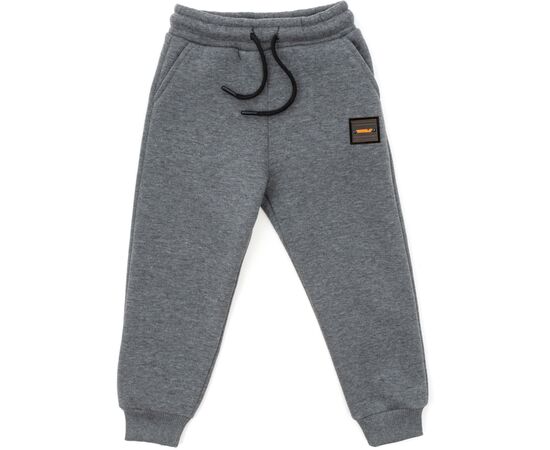 Штаны детские Cloise спортивные флисовые (CL0155019-104B-gray)