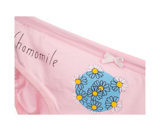 Трусы BiyoKids с цветочком (3266-164G-lightpink), изображение 2 Трусы BiyoKids с цветочком (3266-164G-lightpink), изображение 2