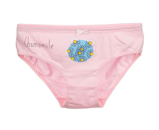 Трусы BiyoKids с цветочком (3266-164G-lightpink)