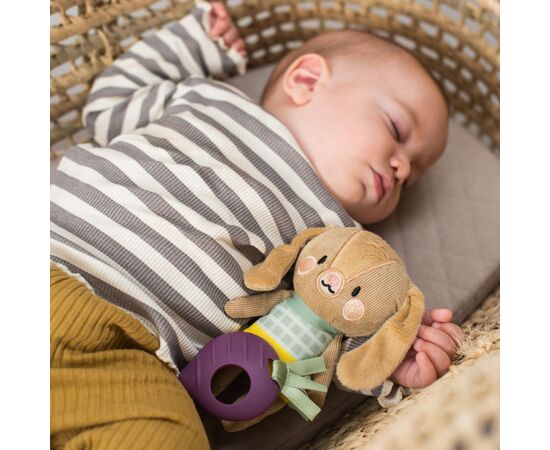 Игрушка на коляску Taf Toys Садик в городе – КРОЛИК ДЖЕННИ (12995), изображение 2 Игрушка на коляску Taf Toys Садик в городе – КРОЛИК ДЖЕННИ (12995), изображение 2