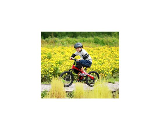 Дитячий велосипед Ninebot Kids Bike 18'' Red (789219), зображення 6 Дитячий велосипед Ninebot Kids Bike 18'' Red (789219), зображення 6