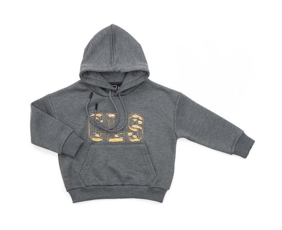 Кофта Cloise худи CLS (CL0115009-128B-gray)