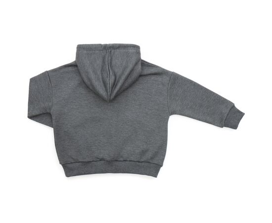 Кофта Cloise худи CLS (CL0115009-152B-gray), изображение 2 Кофта Cloise худи CLS (CL0115009-152B-gray), изображение 2