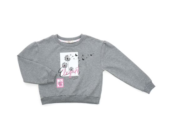 Спортивный костюм Breeze ELEGANT (19049-116G-gray), изображение 2 Спортивный костюм Breeze ELEGANT (19049-116G-gray), изображение 2