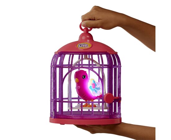 Интерактивная игрушка Moose Говорящая птичка Тиара Твинклз со светом в клетке (26457), изображение 7 Интерактивная игрушка Moose Говорящая птичка Тиара Твинклз со светом в клетке (26457), изображение 7