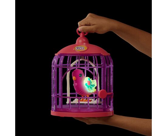 Интерактивная игрушка Moose Говорящая птичка Тиара Твинклз со светом в клетке (26457), изображение 8 Интерактивная игрушка Moose Говорящая птичка Тиара Твинклз со светом в клетке (26457), изображение 8