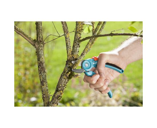 Секатор Gardena Classic A/S с наковальней, 18 мм (08855-20.000.00), изображение 4 Секатор Gardena Classic A/S с наковальней, 18 мм (08855-20.000.00), изображение 4