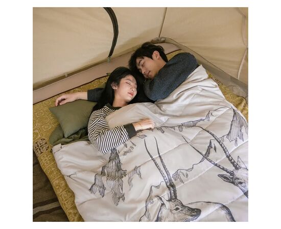 Спальный мешок Naturehike двомісний із подушками NH21MSD06 Green (6927595795330), изображение 3 Спальный мешок Naturehike двомісний із подушками NH21MSD06 Green (6927595795330), изображение 3