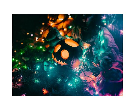 Гирлянда Twinkly Smart LED Pro Curtain RGBW 250, AWG22, IP65, черный (TWP-CU-CA-05X50SPP-B), изображение 9 Гирлянда Twinkly Smart LED Pro Curtain RGBW 250, AWG22, IP65, черный (TWP-CU-CA-05X50SPP-B), изображение 9