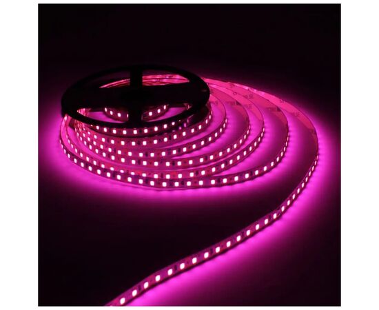 Светодиодная лента LED-STIL 9,6 Вт/м 2835 120 диодов IP33 12 Вольт 100 lm Розовый цвет свечения (DFN2835-120A-IP33-P), изображение 2 Светодиодная лента LED-STIL 9,6 Вт/м 2835 120 диодов IP33 12 Вольт 100 lm Розовый цвет свечения (DFN2835-120A-IP33-P), изображение 2