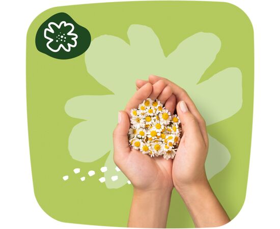 Гігієнічні прокладки Naturella Ultra Normal 40 шт (4015400197546), зображення 7 Гігієнічні прокладки Naturella Ultra Normal 40 шт (4015400197546), зображення 7