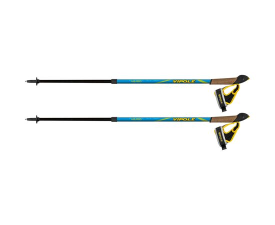 Палки для скандинавской ходьбы Vipole Vario Novice Blue/Green (S20 33) (929895)
