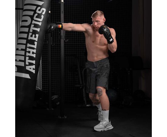 Боксерські рукавички Phantom Germany Black 12oz (PHBG2189-12), зображення 8