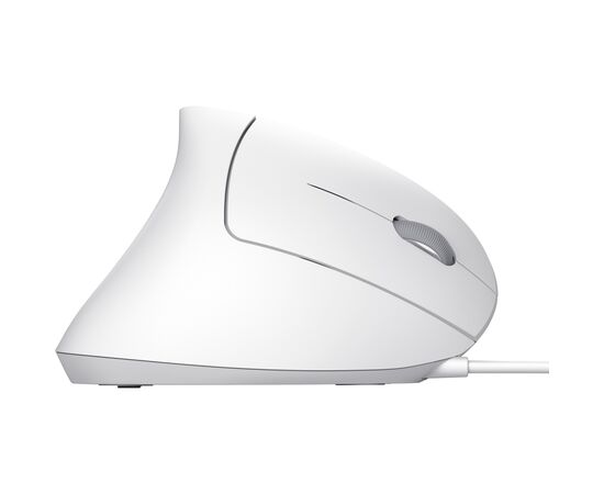 Мышка Trust Verto Ergonomic USB White (25133), изображение 5 Мышка Trust Verto Ergonomic USB White (25133), изображение 5