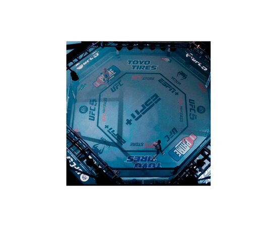 Игра Sony EA Sports UFC 5 , BD диск (1163870), изображение 5 Игра Sony EA Sports UFC 5 , BD диск (1163870), изображение 5