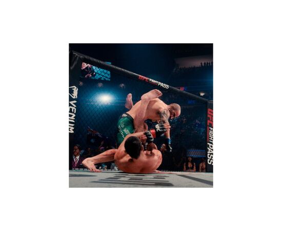 Игра Sony EA Sports UFC 5 , BD диск (1163870), изображение 9 Игра Sony EA Sports UFC 5 , BD диск (1163870), изображение 9