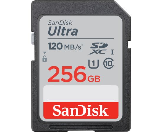 Карта памяти SanDisk 256GB SD class 10 UHS-I Ultra (SDSDUN4-256G-GN6IN)