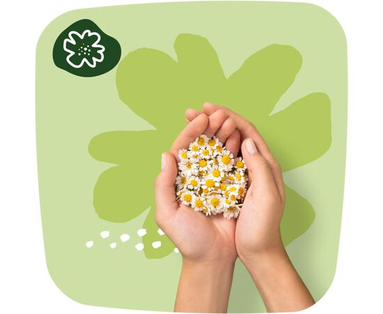 Гигиенические прокладки Naturella Classic Normal (Размер 2) 18 шт. (8001090850638), изображение 7