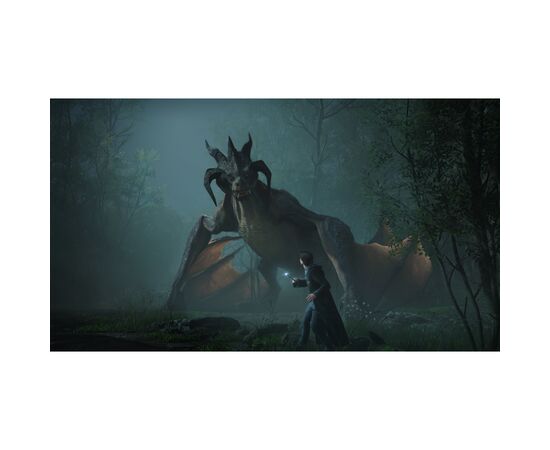 Игра Nintendo Hogwarts Legacy, картридж (5051895414910), изображение 6 Игра Nintendo Hogwarts Legacy, картридж (5051895414910), изображение 6