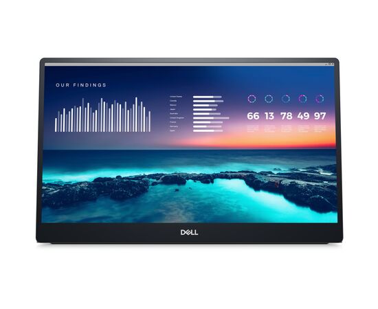 Монитор Dell P1424H (210-BHQQ)