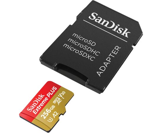 Карта памяти SanDisk 256GB microSD class 10 V30 Extreme PLUS (SDSQXBD-256G-GN6MA)