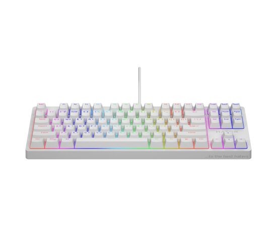 Клавиатура Hator Rockfall 2 Mecha TKL Orange USB White (HTK-521), изображение 2 Клавиатура Hator Rockfall 2 Mecha TKL Orange USB White (HTK-521), изображение 2