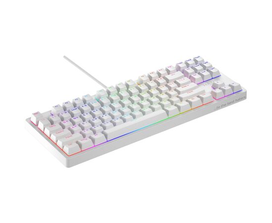 Клавиатура Hator Rockfall 2 Mecha TKL Orange USB White (HTK-521), изображение 3 Клавиатура Hator Rockfall 2 Mecha TKL Orange USB White (HTK-521), изображение 3