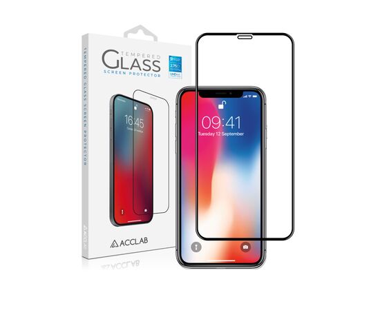 Стекло защитное ACCLAB Full Glue ESD Apple Iphone X/XS/11 Pro (1283126532139)
