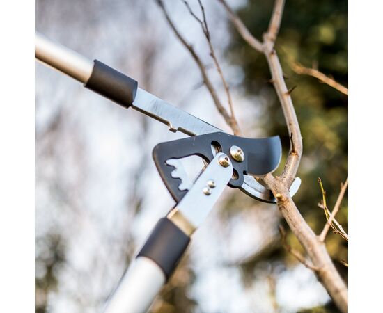 Секатор Cellfast IDEAL, d реза 45мм (40-411), изображение 2 Секатор Cellfast IDEAL, d реза 45мм (40-411), изображение 2