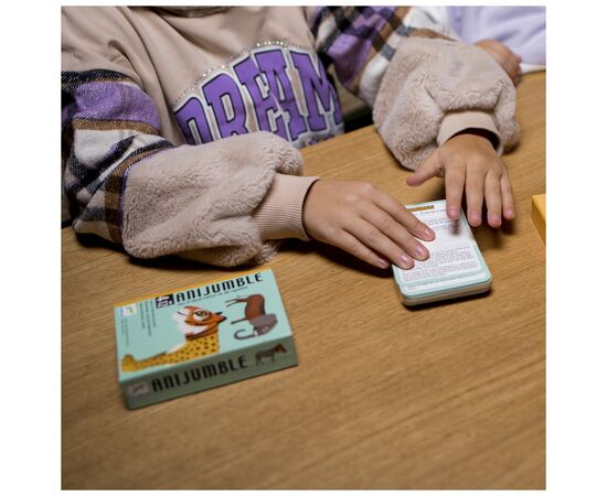 Настольная игра Djeco Веселая неразбериха (DJ05092), изображение 4 Настольная игра Djeco Веселая неразбериха (DJ05092), изображение 4