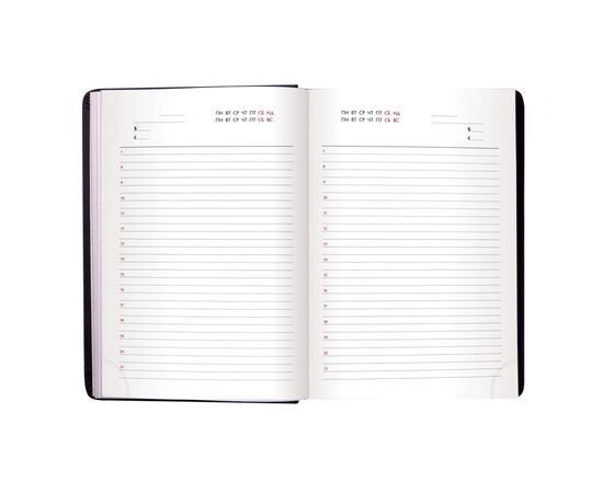 Еженедельник Buromax недатированный Base А4 из бумвинила на 288 страниц Синий (BM.2094-02), изображение 9 Еженедельник Buromax недатированный Base А4 из бумвинила на 288 страниц Синий (BM.2094-02), изображение 9