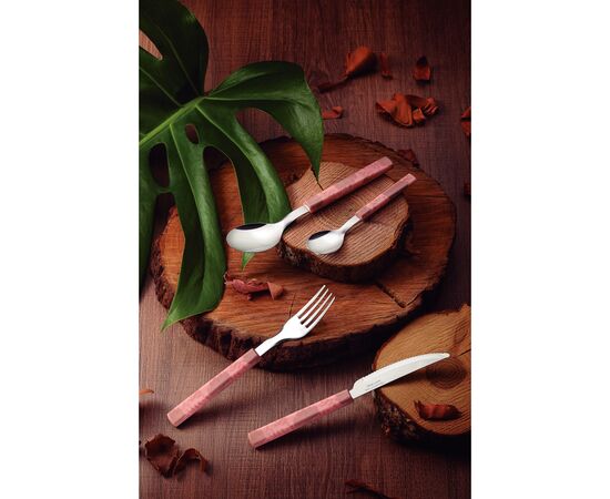 Набор столовых приборов Tramontina Bliss 16 предметів Рожевий (29899/129), изображение 3 Набор столовых приборов Tramontina Bliss 16 предметів Рожевий (29899/129), изображение 3