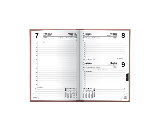 Еженедельник Brunnen датированный 2024 Torino Trend карманный A6 10х14 см 184 страницы Пудровый (73-736 38 254), изображение 3