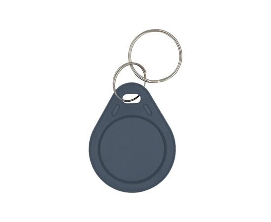 Брелок з чіпом Trinix P-key RW gray