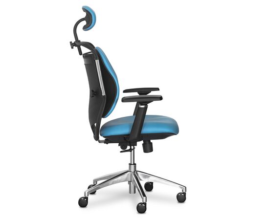 Офісне крісло Mealux Testa Duo Blue (Y-552 KBL Duo), зображення 4 Офісне крісло Mealux Testa Duo Blue (Y-552 KBL Duo), зображення 4