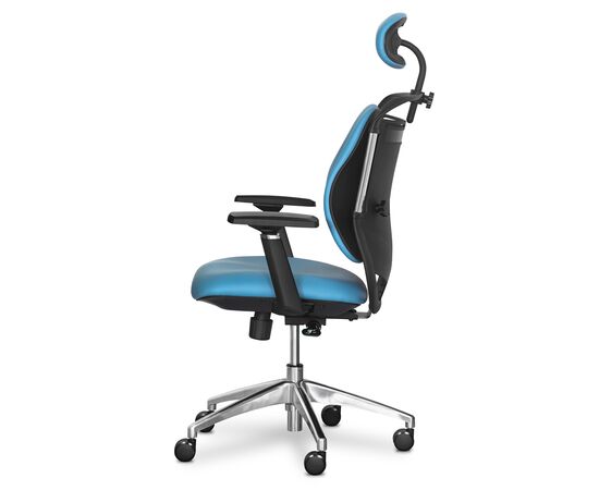 Офісне крісло Mealux Testa Duo Blue (Y-552 KBL Duo), зображення 5 Офісне крісло Mealux Testa Duo Blue (Y-552 KBL Duo), зображення 5