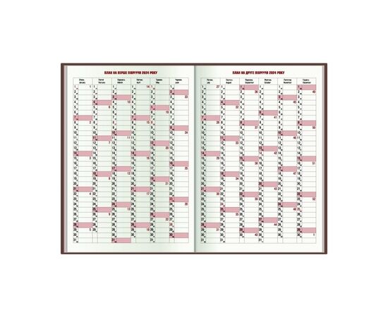 Еженедельник Economix датированный 2024, А5 (E21836), изображение 3 Еженедельник Economix датированный 2024, А5 (E21836), изображение 3