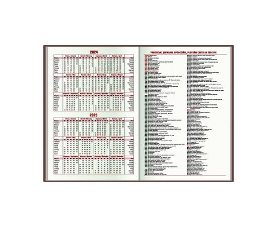 Еженедельник Economix датированный 2024, А5 (E21839), изображение 4