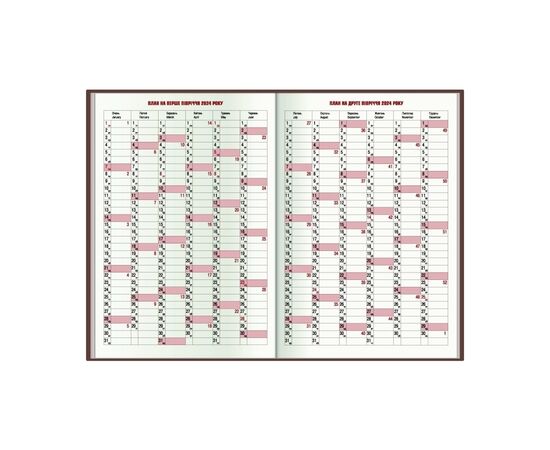 Еженедельник Economix датированный 2024 Spectrum, желтый А5 (E21850), изображение 3 Еженедельник Economix датированный 2024 Spectrum, желтый А5 (E21850), изображение 3