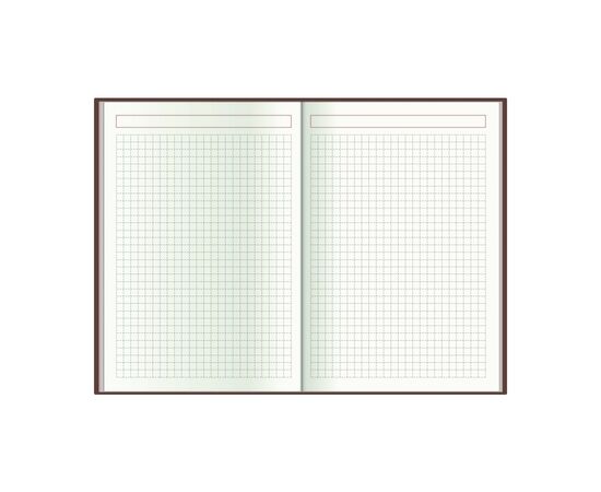 Еженедельник Economix датированный 2024 Spectrum, желтый А5 (E21850), изображение 6 Еженедельник Economix датированный 2024 Spectrum, желтый А5 (E21850), изображение 6