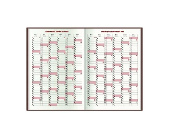 Еженедельник Economix датированный 2024 Spectrum, синий А5 (E21846), изображение 3 Еженедельник Economix датированный 2024 Spectrum, синий А5 (E21846), изображение 3