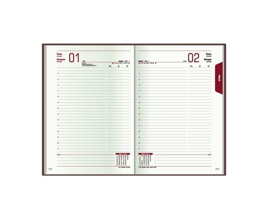 Еженедельник Economix датированный 2024 Spectrum, синий А5 (E21846), изображение 5 Еженедельник Economix датированный 2024 Spectrum, синий А5 (E21846), изображение 5