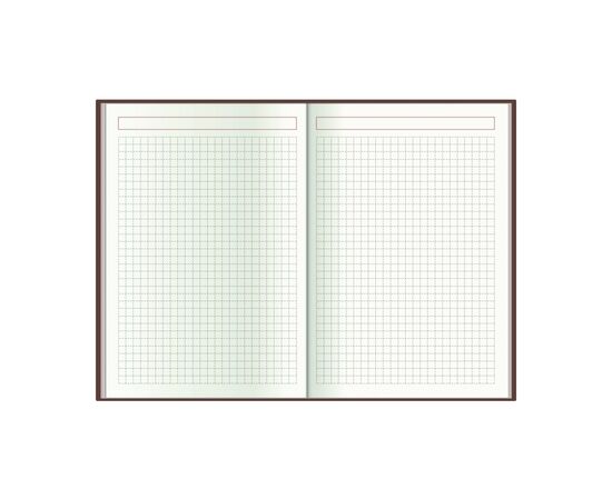 Еженедельник Economix датированный 2024 COLOR, А5 (E21840), изображение 6 Еженедельник Economix датированный 2024 COLOR, А5 (E21840), изображение 6