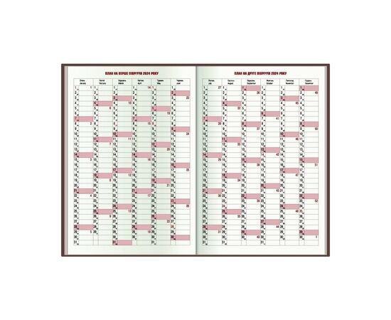 Еженедельник Economix датированный 2024 COLOR, А5 (E21841), изображение 3