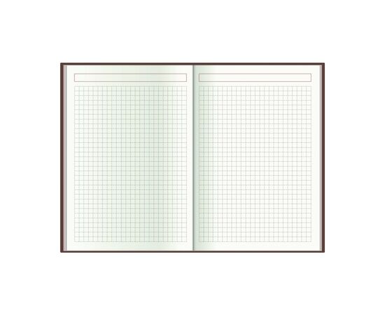 Еженедельник Economix датированный 2024 COLOR, А5 (E21841), изображение 6