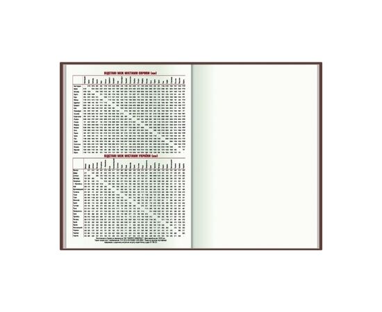 Еженедельник Economix датированный 2024 COLOR, А5 (E21841), изображение 7