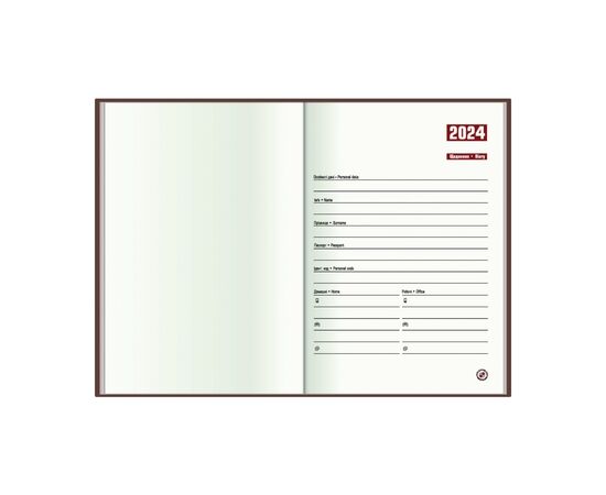 Еженедельник Economix датированный 2024 COLOR, А5 (E21842), изображение 2